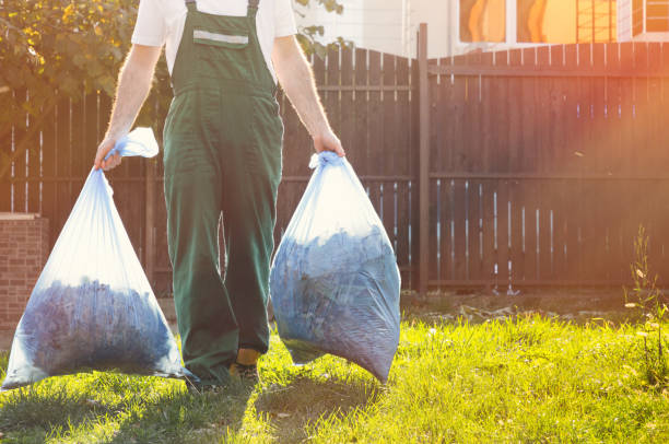 Best Office Junk Removal  in Sun Valley, NV